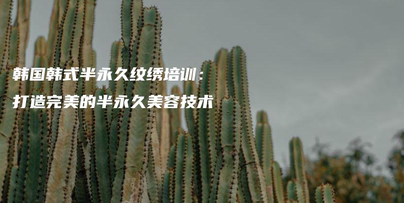 韓國韓式半永久紋繡培訓(xùn)：打造完美的半永久美容技術(shù)插圖