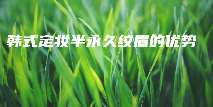 韓式定妝半永久紋眉的優(yōu)勢(shì)插圖