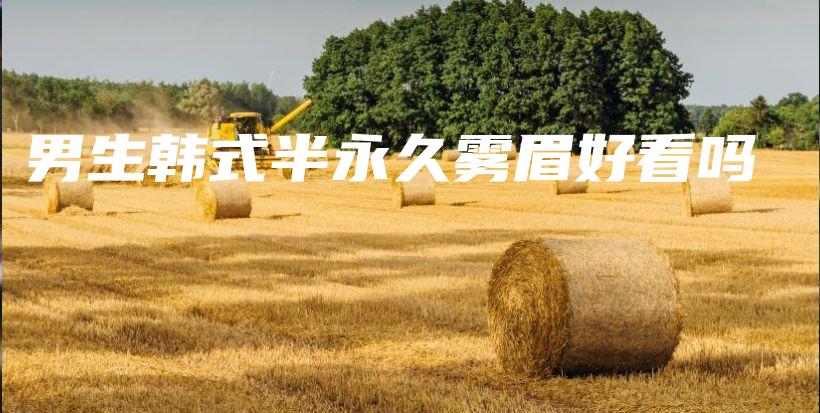 男生韓式半永久霧眉好看嗎插圖