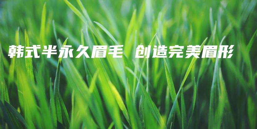 韓式半永久眉毛 創(chuàng)造完美眉形插圖