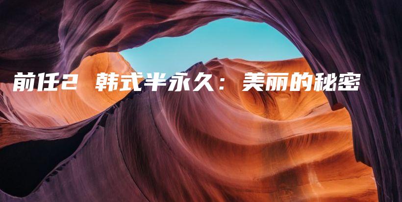 前任2 韓式半永久：美麗的秘密插圖