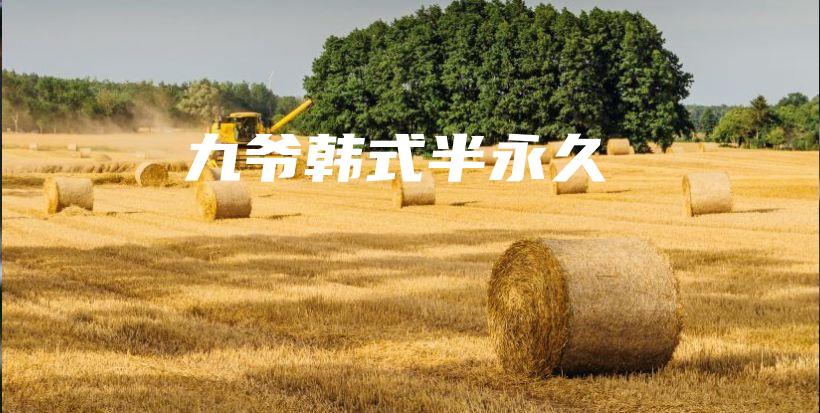 九爺韓式半永久插圖