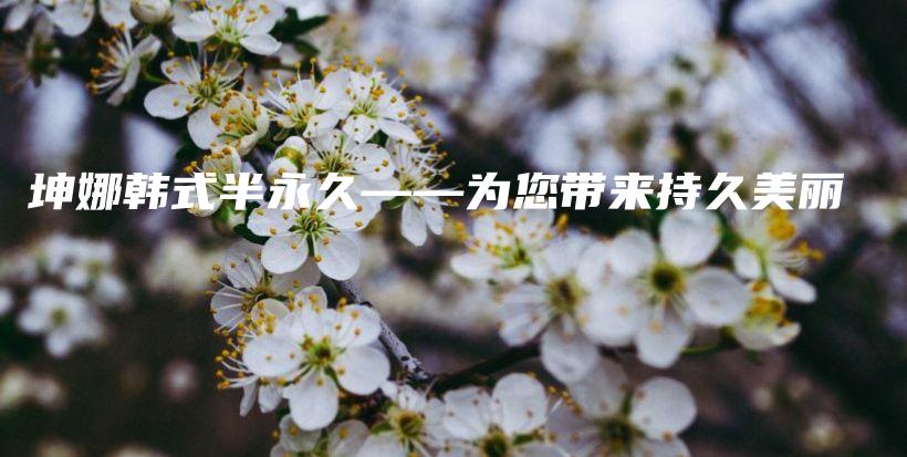 坤娜韓式半永久——為您帶來持久美麗插圖