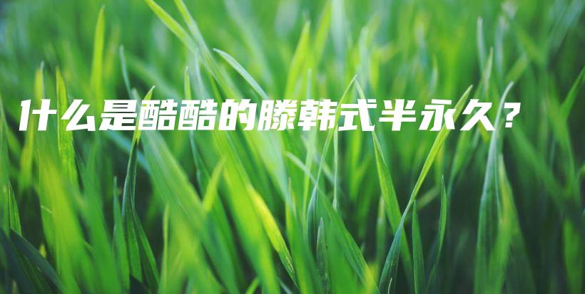 什么是酷酷的滕韓式半永久？插圖