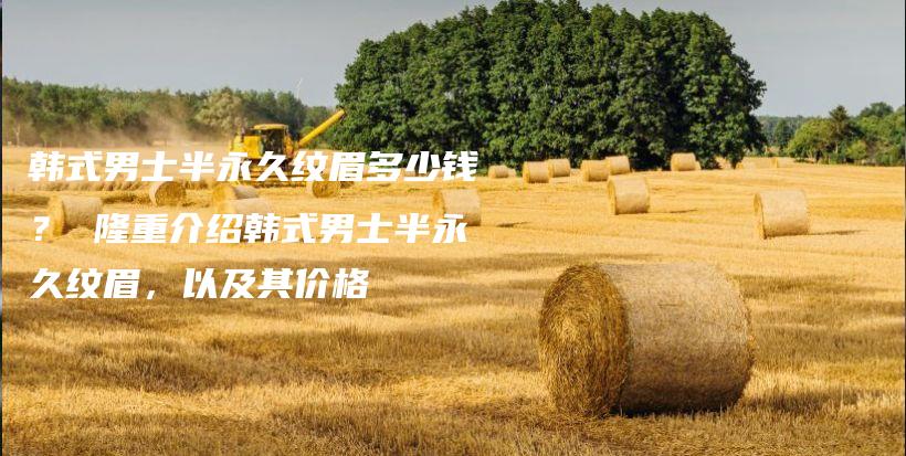 韓式男士半永久紋眉多少錢？ 隆重介紹韓式男士半永久紋眉，以及其價格插圖