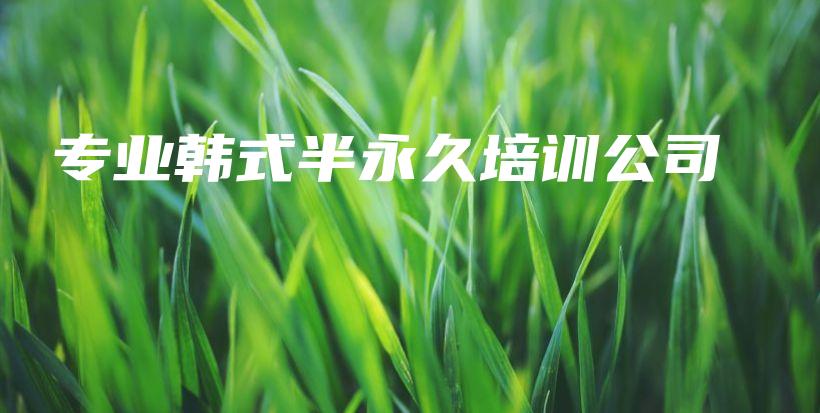 專業(yè)韓式半永久培訓公司插圖