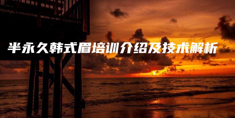 半永久韓式眉培訓介紹及技術解析插圖