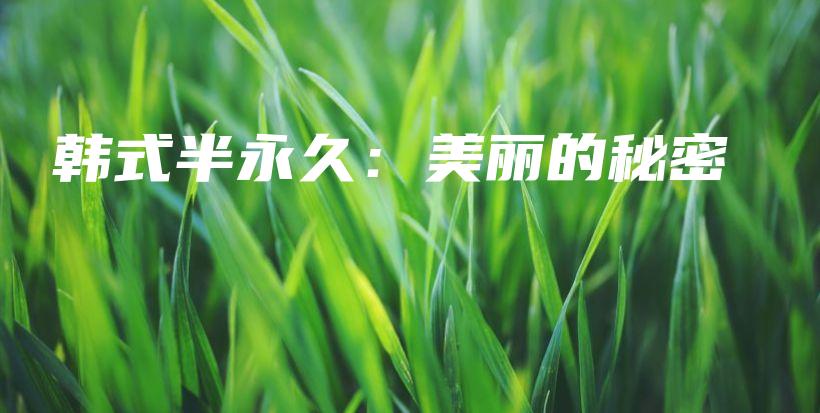 韓式半永久：美麗的秘密插圖