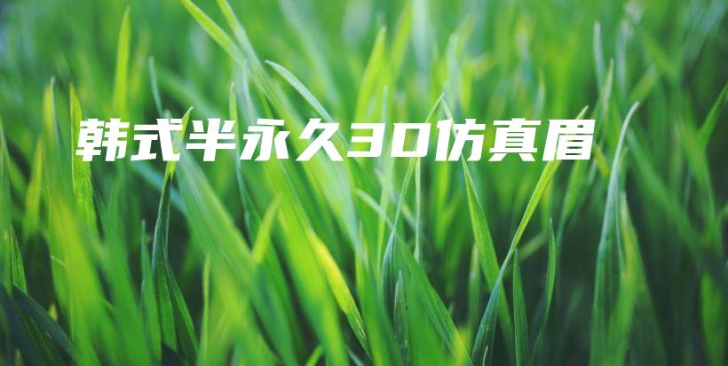 韓式半永久3D仿真眉插圖