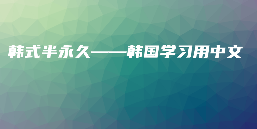 韓式半永久——韓國學(xué)習(xí)用中文插圖