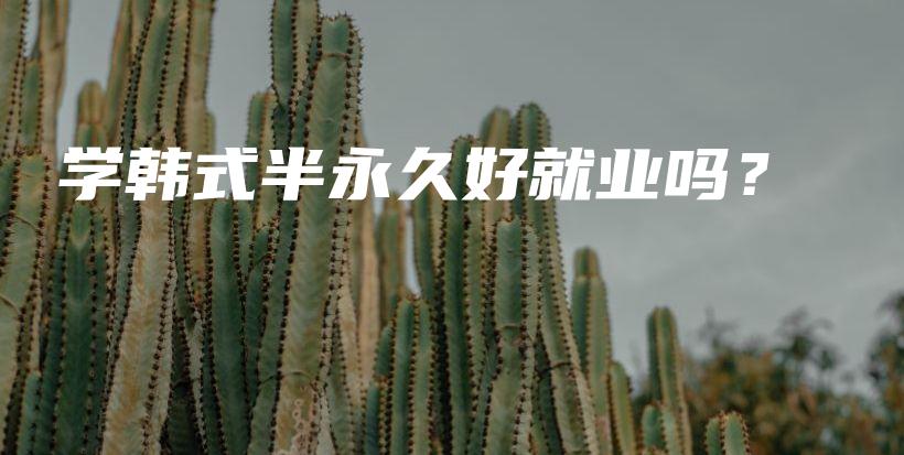 學(xué)韓式半永久好就業(yè)嗎？插圖